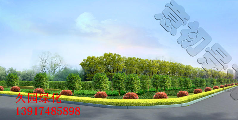 青浦区华新镇杨家庄村玄武小区绿化