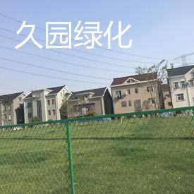 华新镇马阳村新农村建设绿化项目