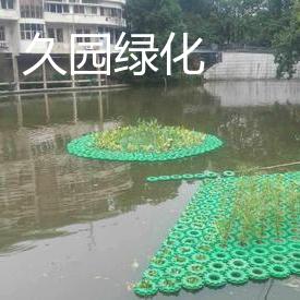 水体绿化