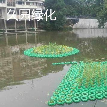 水体绿化